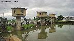 area1-20240606063014.jpg