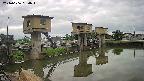area1-20240606064014.jpg