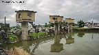 area1-20240606070013.jpg