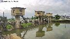area1-20240606072012.jpg
