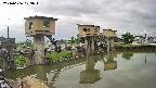 area1-20240606073013.jpg