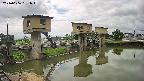 area1-20240606091013.jpg