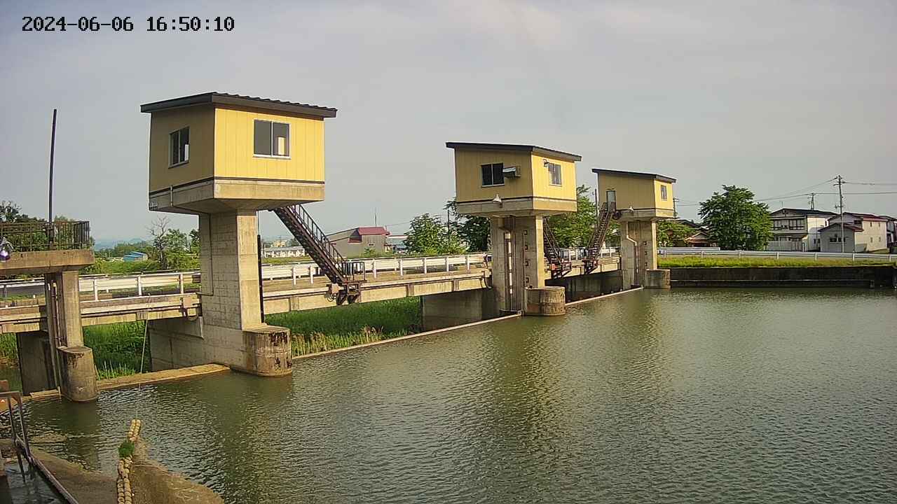 area1-20240606165012.jpg