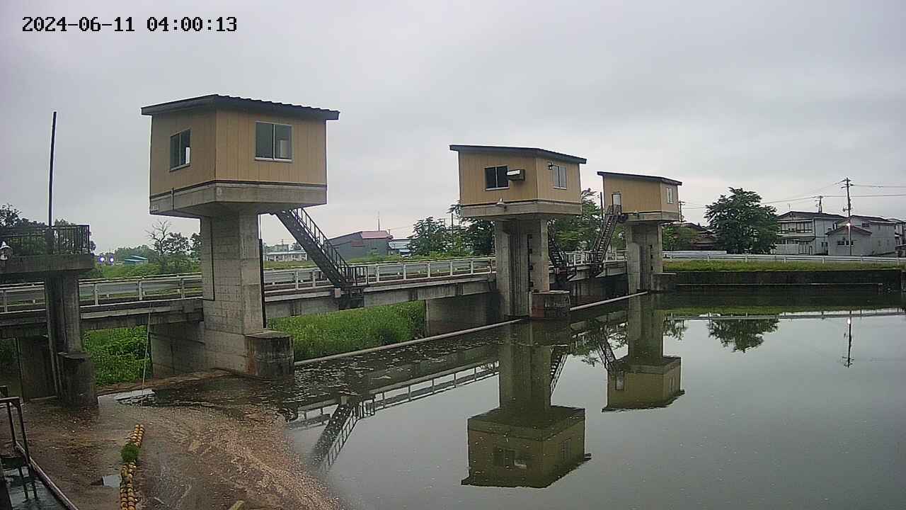 area1-20240611040014.jpg