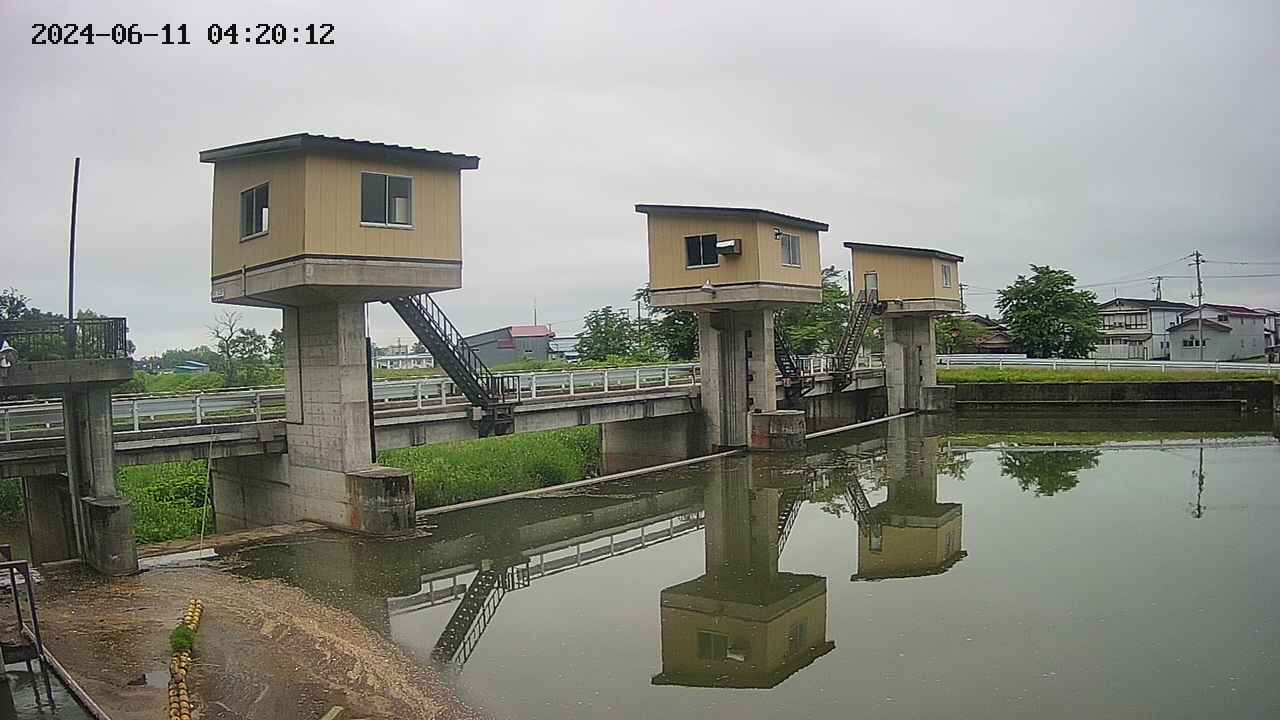 area1-20240611042013.jpg
