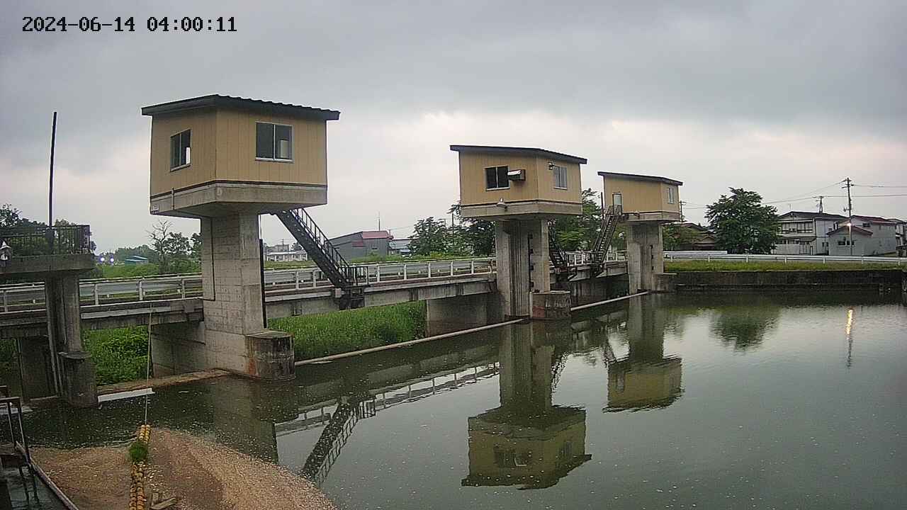 area1-20240614040012.jpg