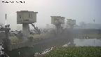 area1-20241111072013.jpg