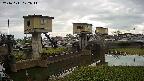 area1-20241111122013.jpg