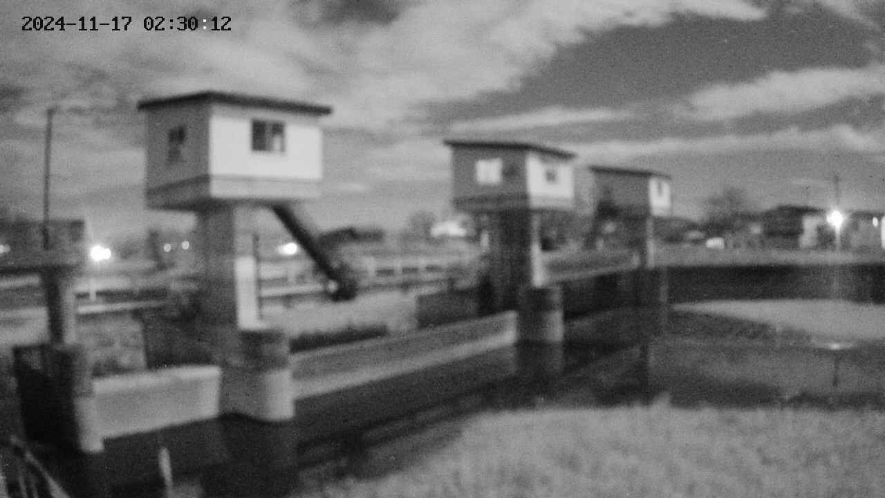 area1-20241117023013.jpg