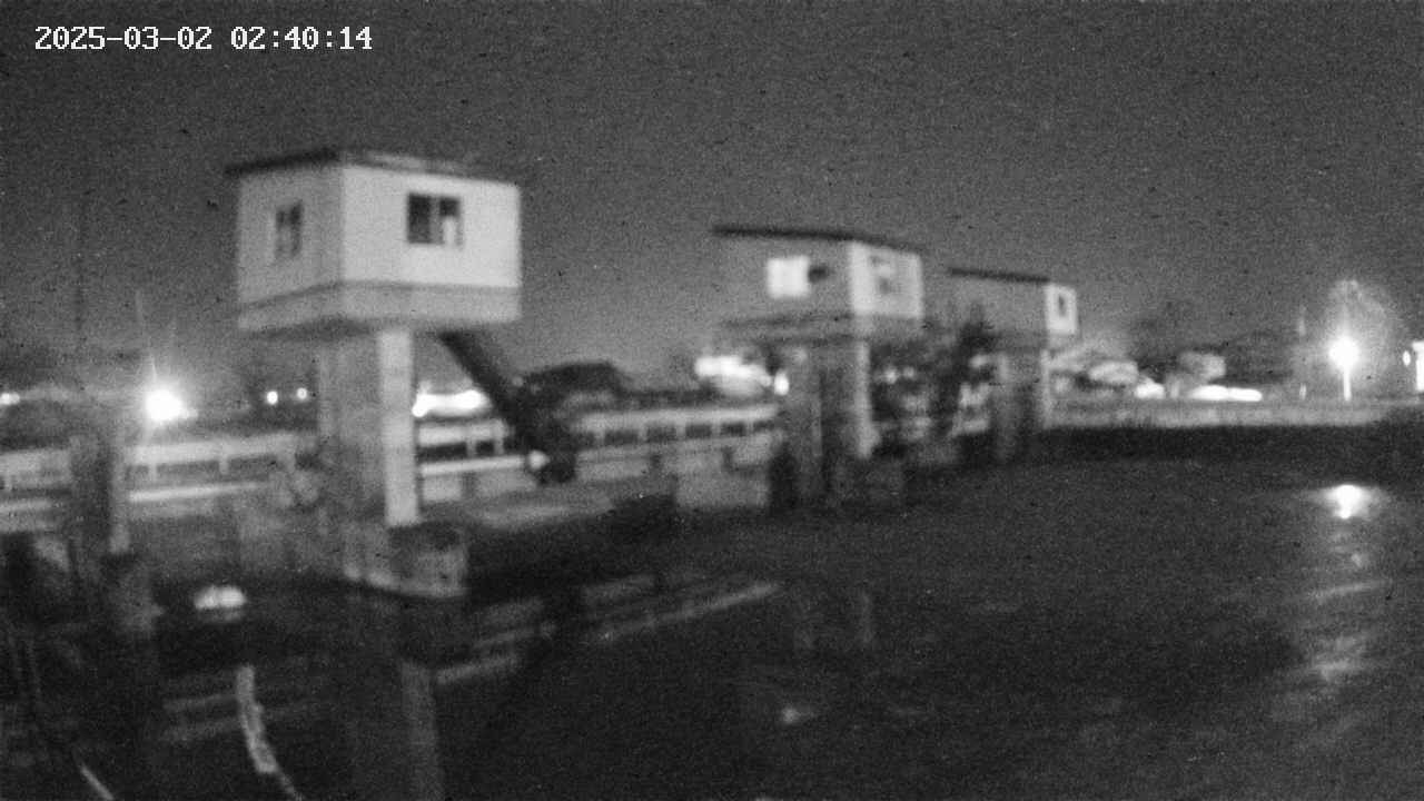 area1-20250302024016.jpg