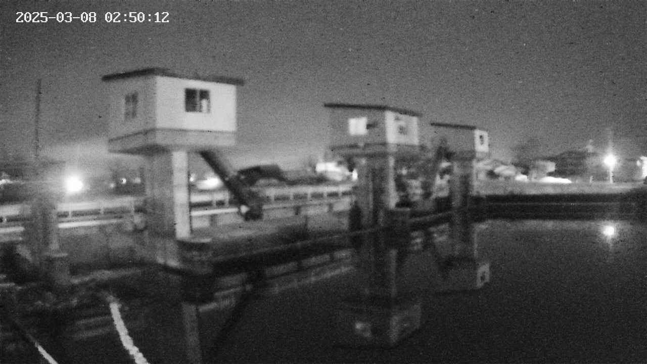 area1-20250308025013.jpg