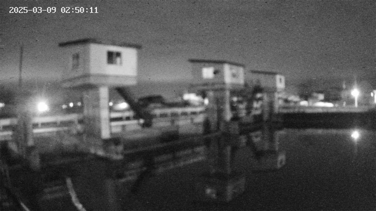 area1-20250309025013.jpg