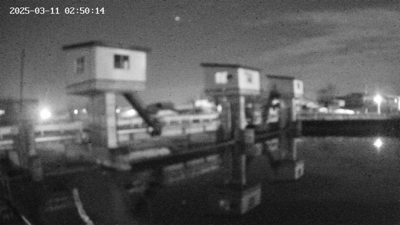 area1-20250311025015.jpg