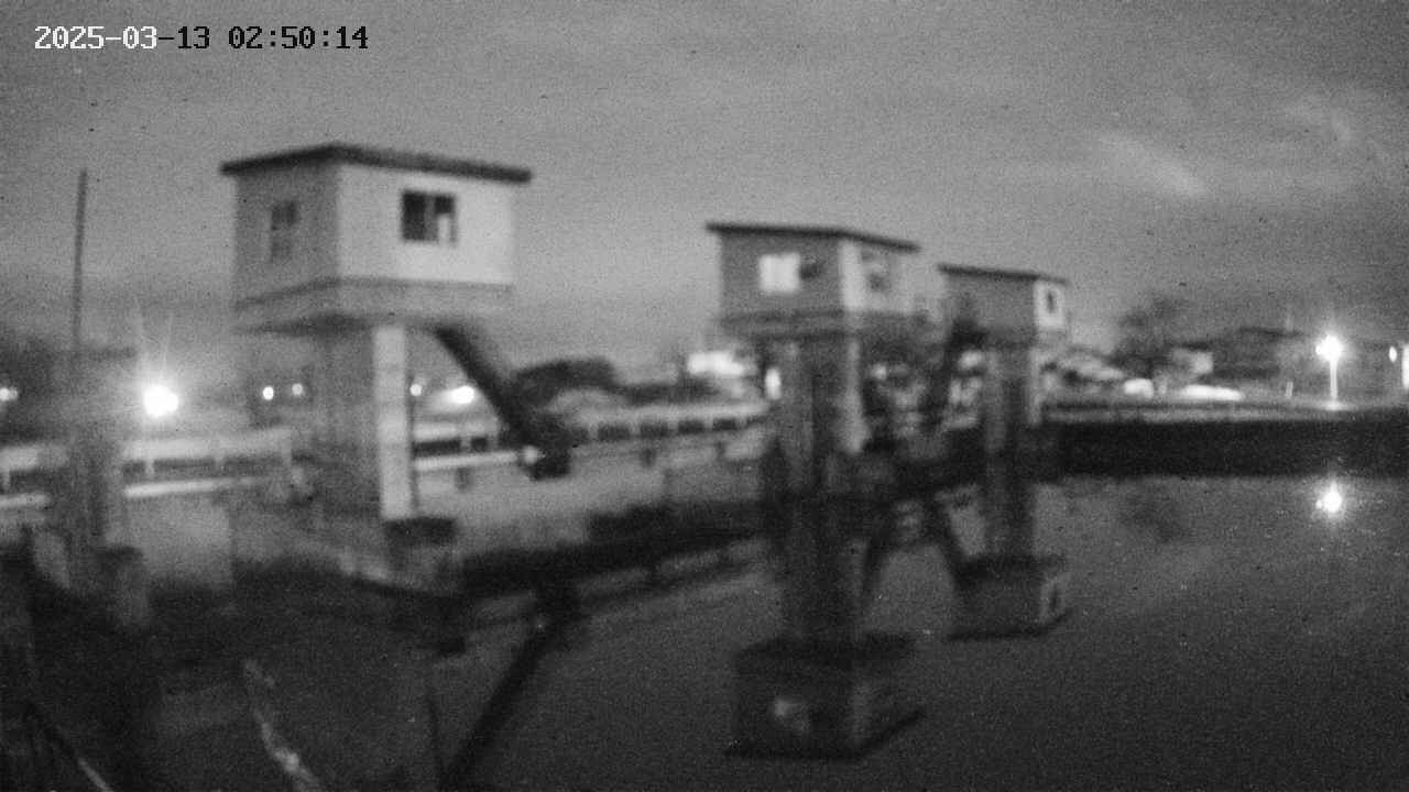 area1-20250313025015.jpg