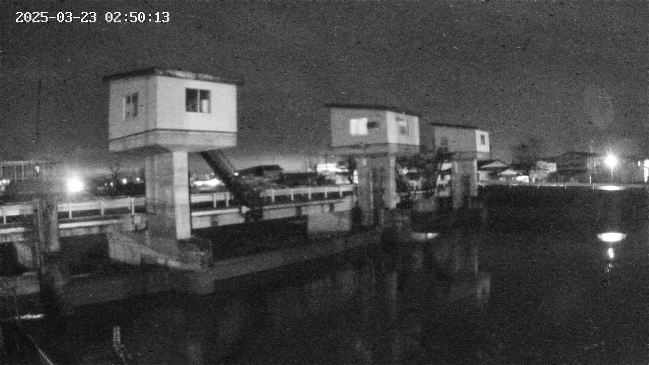 area1-20250323025013.jpg