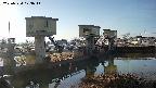 area1-20250324073015.jpg