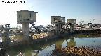 area1-20250324082013.jpg