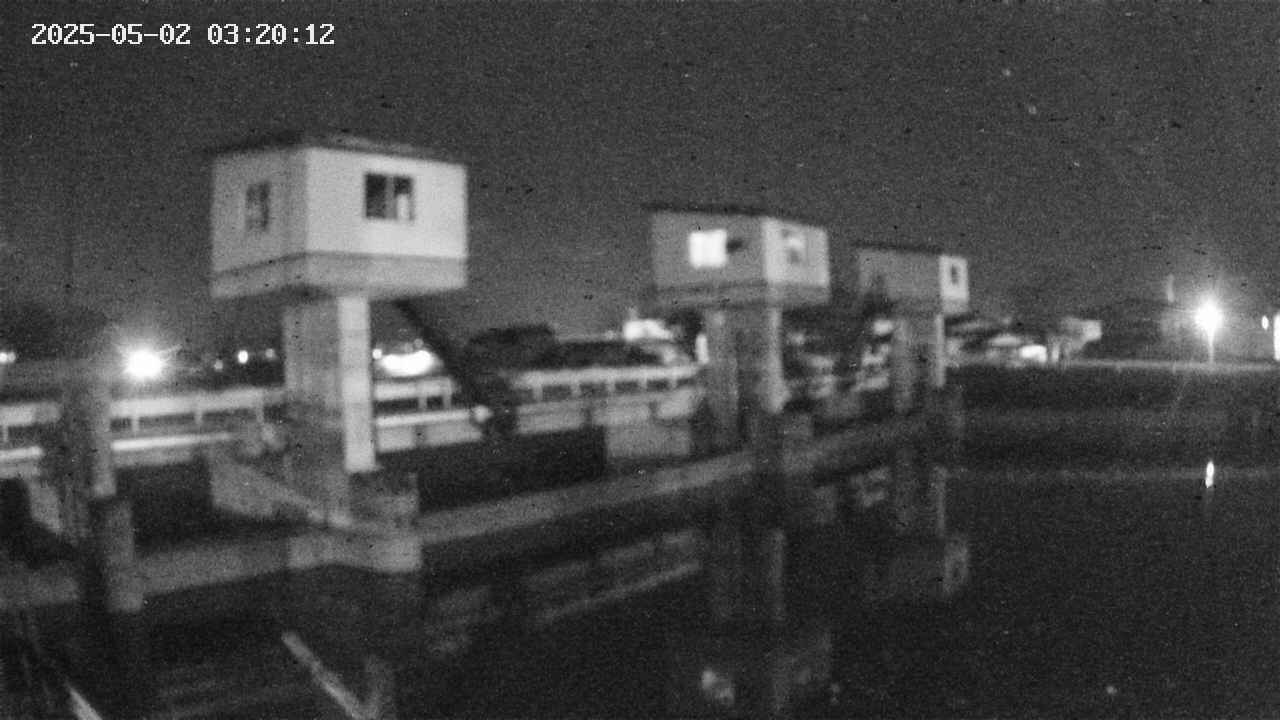 area1-20250502032013.jpg