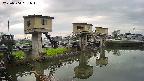 area1-20250504061014.jpg
