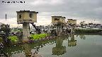 area1-20250504073013.jpg