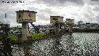 area1-20250504112013.jpg