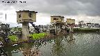 area1-20250504132013.jpg