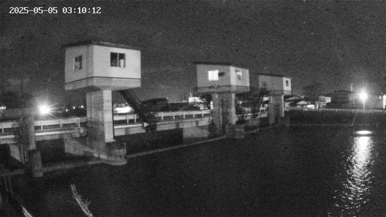 area1-20250505031013.jpg