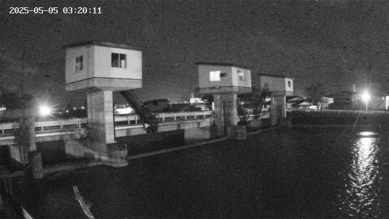 area1-20250505032013.jpg