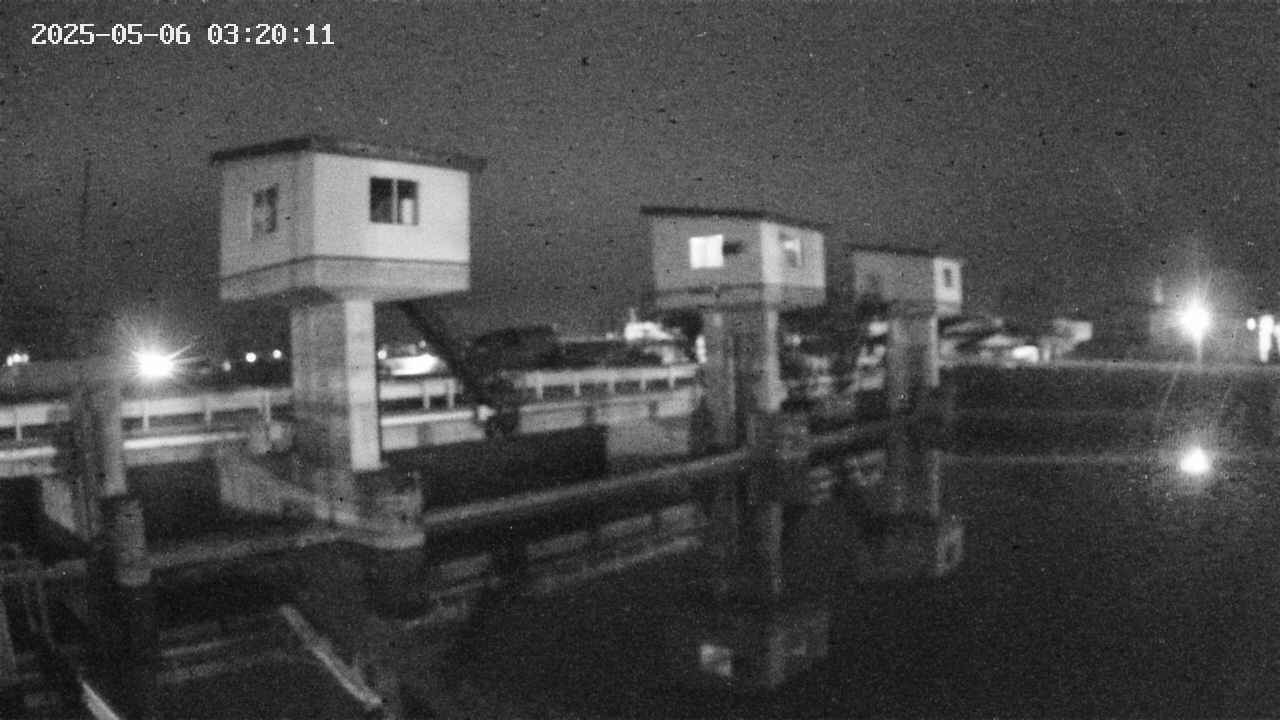 area1-20250506032012.jpg