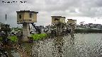area1-20250507162012.jpg