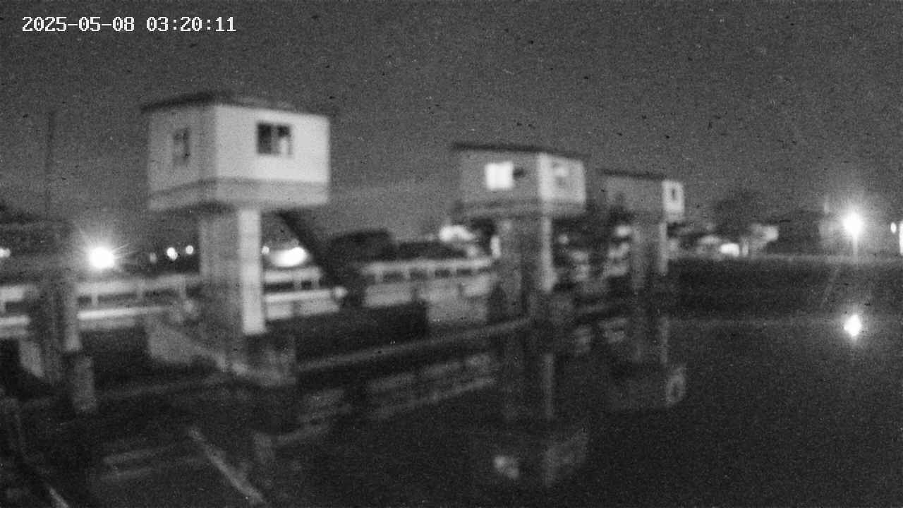 area1-20250508032012.jpg