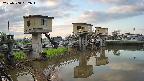 area1-20250508052014.jpg
