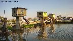 area1-20250508172015.jpg