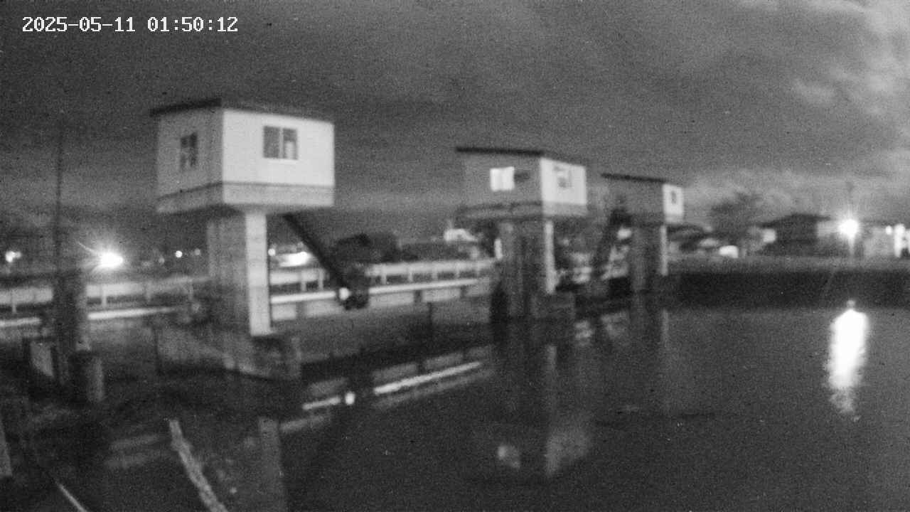 area1-20250511015013.jpg