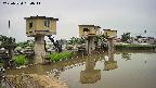 area1-20250524060012.jpg