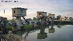 area1-20250607050014.jpg