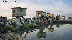 area1-20250607051013.jpg