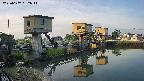 area1-20250607052012.jpg
