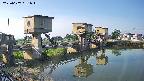 area1-20250607061013.jpg
