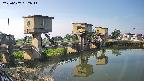 area1-20250607062015.jpg