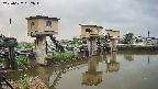 area1-20250627052013.jpg