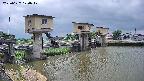 area1-20250627120018.jpg