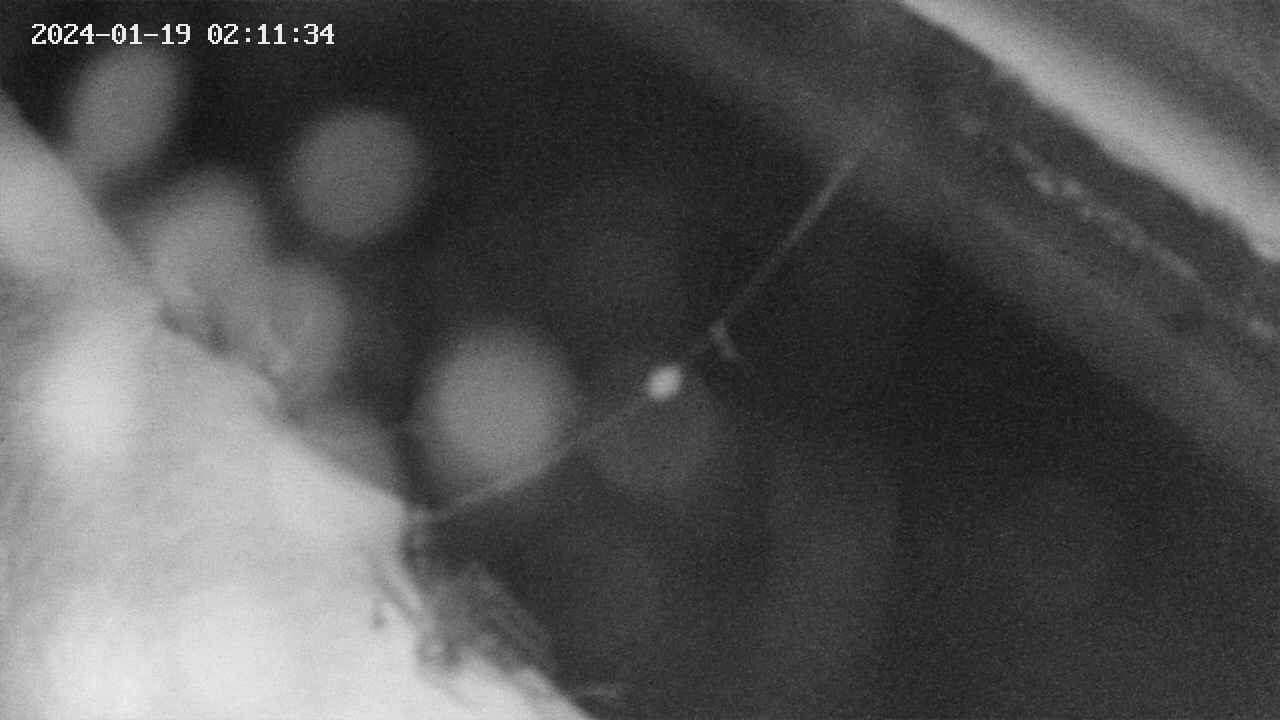 area10-20240119021134.jpg