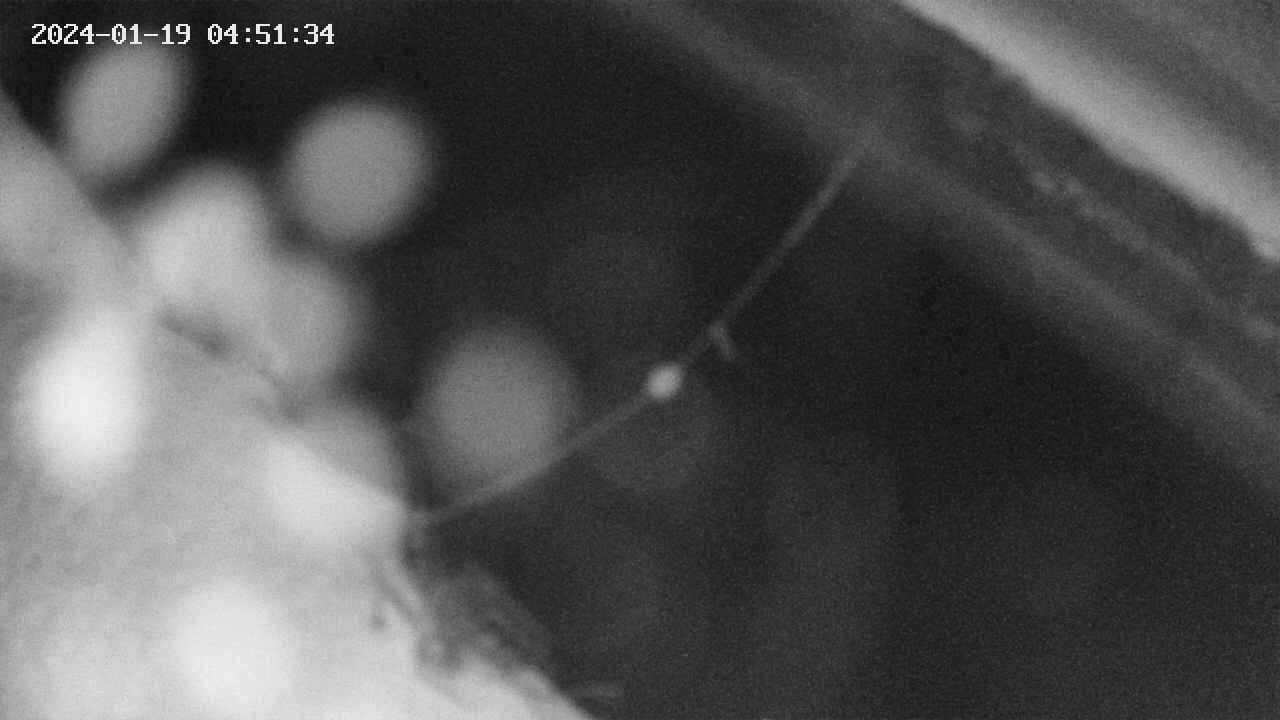 area10-20240119045135.jpg