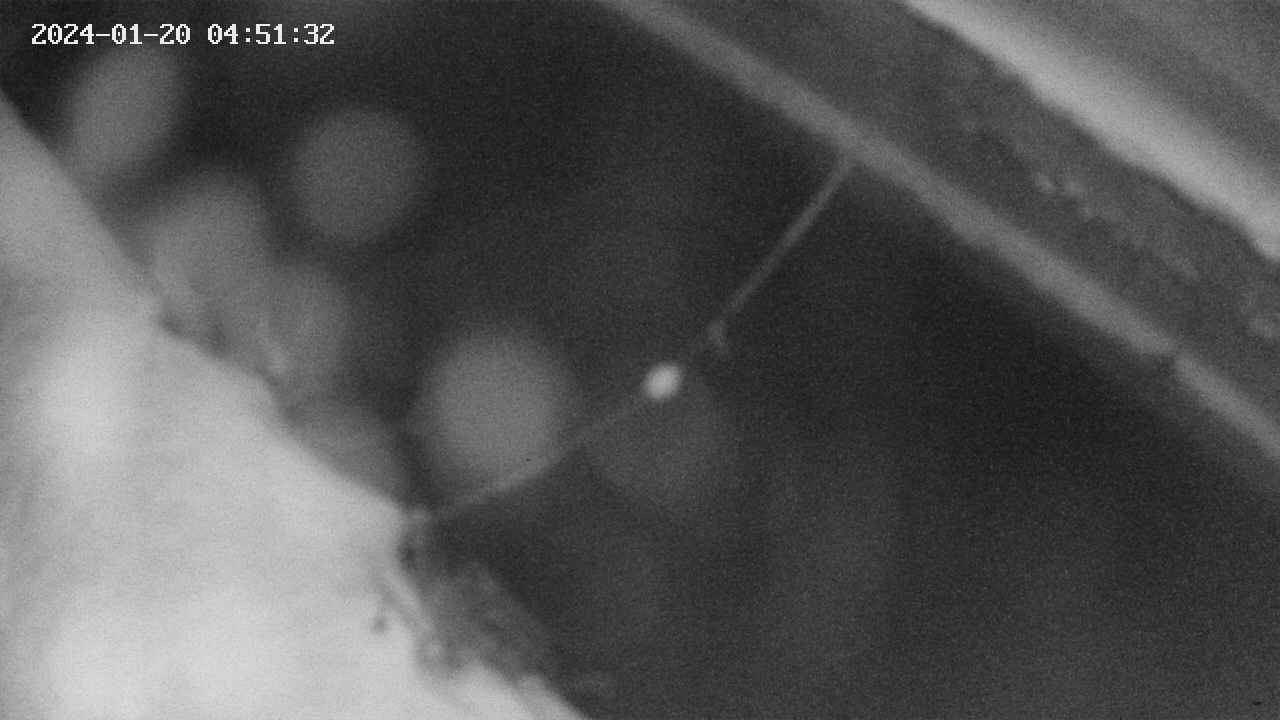area10-20240120045133.jpg
