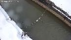 area10-20240202161135.jpg