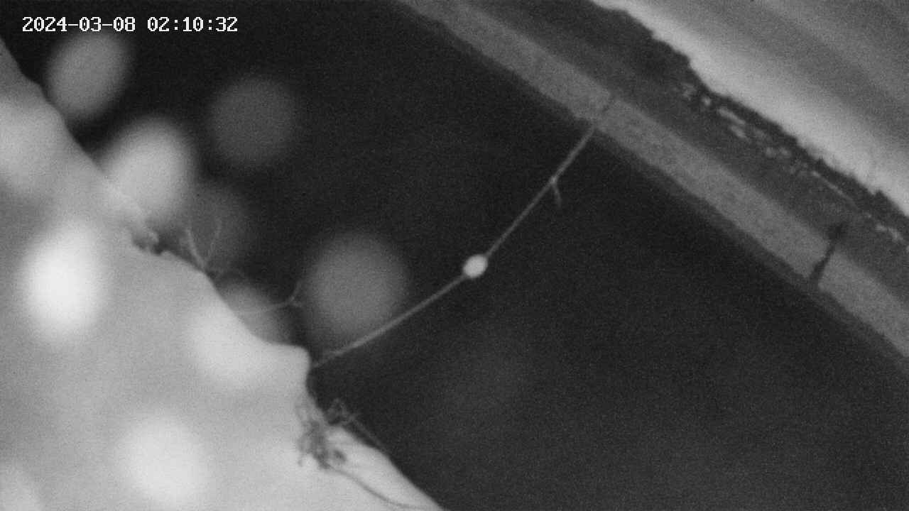 area10-20240308021033.jpg