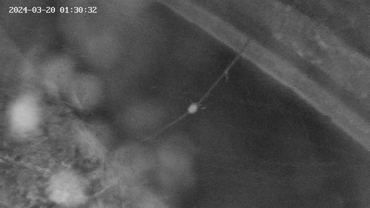 area10-20240320013033.jpg