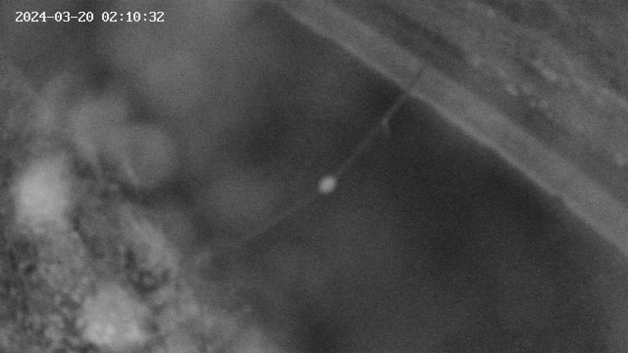 area10-20240320021033.jpg
