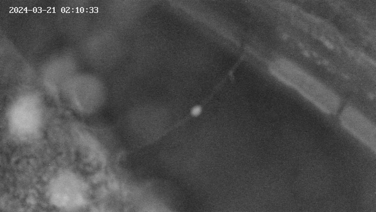 area10-20240321021034.jpg